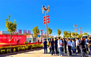 �½��߽���ó��������