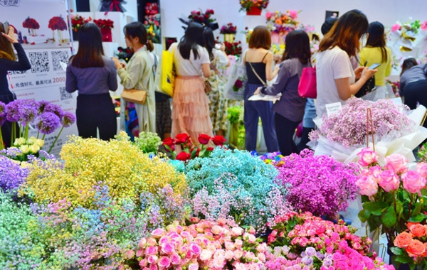 �����������ܺ�����ֳ����